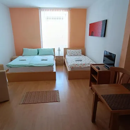 Guest house Anna 3*