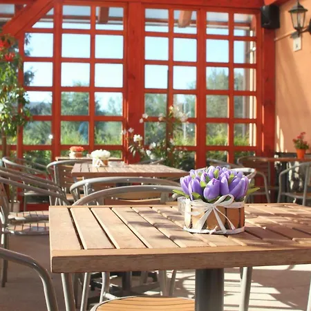 Anna Guest house 3*
